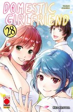 Domestic Girlfriend